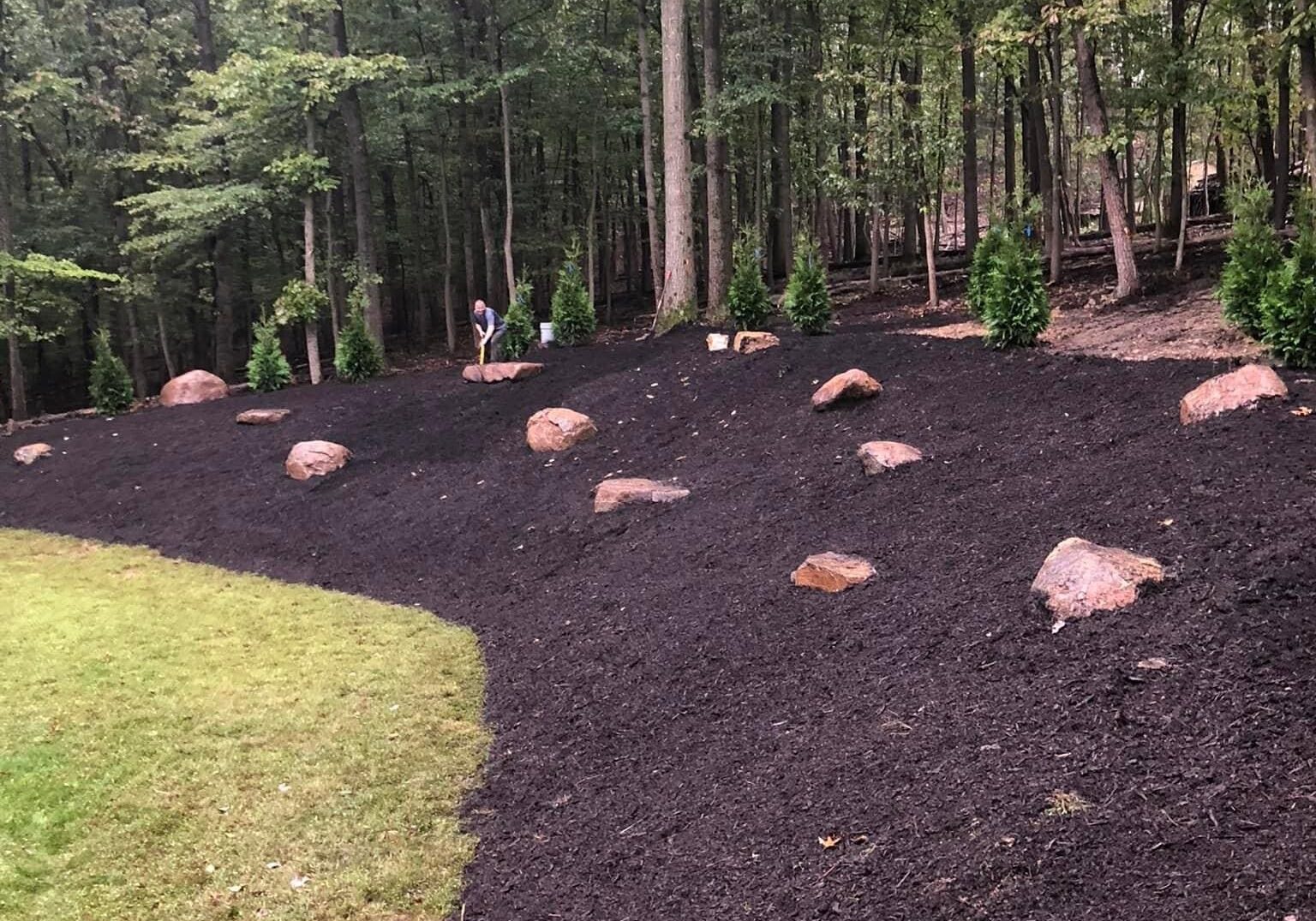 Mulched wooded landscape bed with decorative boulders and trimmed lawn